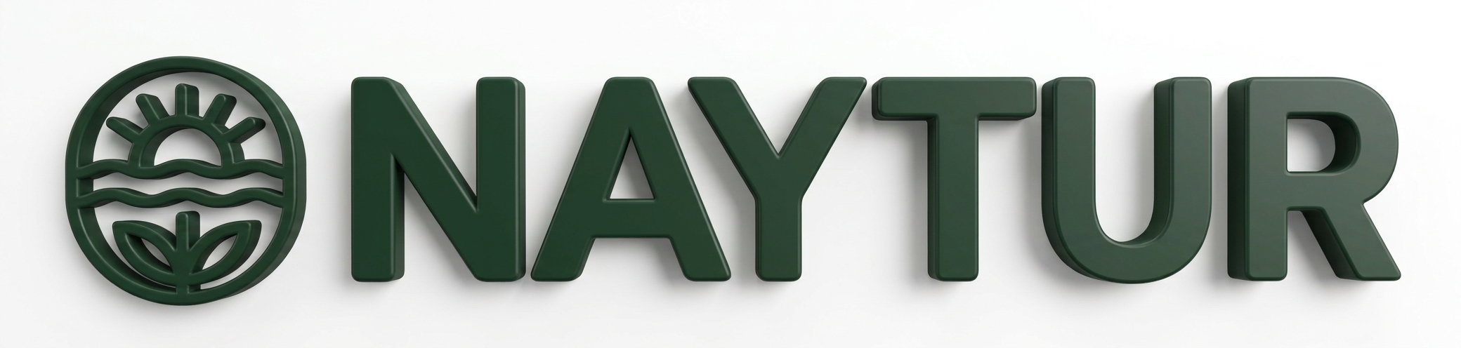 Naytur Logo 3D